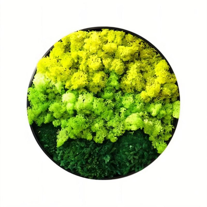 Moss Wall Art - Residence Supply