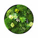 Moss Wall Art - Residence Supply