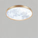 Neoma Ceiling Light - Open Box - Residence Supply