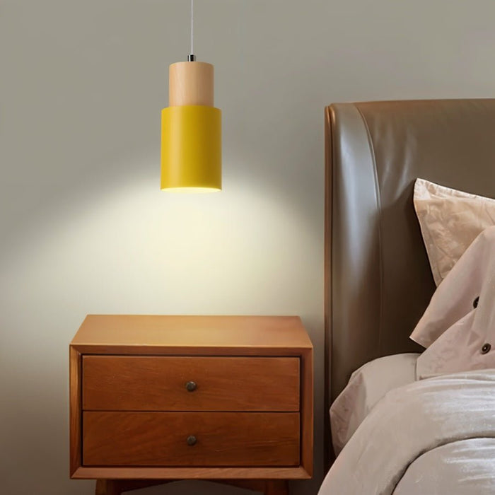 Nouveau Pendant Light - Modern Lighting Fixture for Bedroom