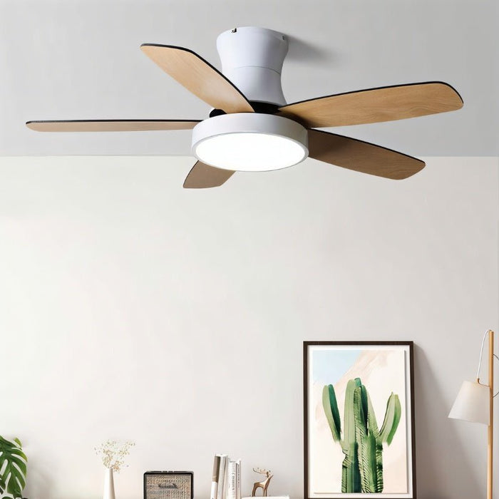 Nuit Ceiling Fan - Residence Supply