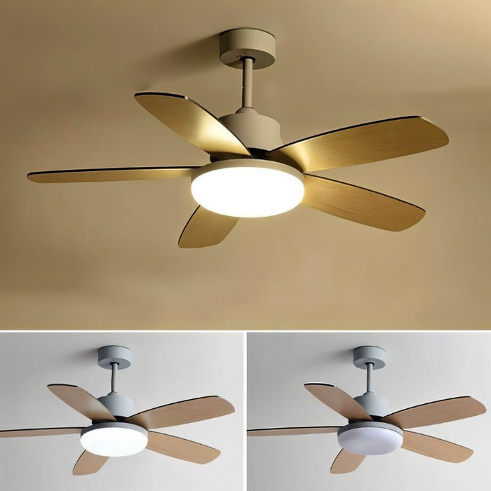 Nuit Ceiling Fan - Residence Supply