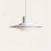 Oroch Pendant Light - Residence Supply