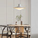 Oroch Pendant Light - Residence Supply