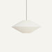 Phasma Pendant Light - Residence Supply