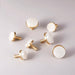 Pilus Crystal Knob & Hook - Residence Supply