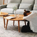 Prunu Coffee Table - Residence Supply