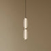 Sleek radiex pendant light