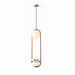 Ring Pendant Light - Residence Supply