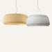 Riza Pendant Light - Residence Supply