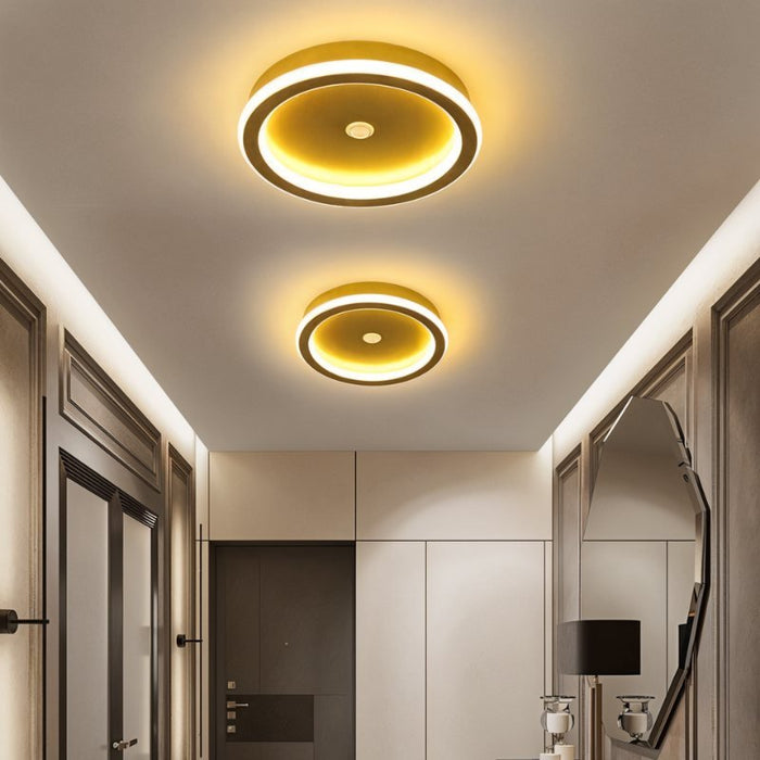 Rohesia Ceiling Light - Modern Lighting for Hallway