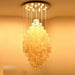 Sdafa Shell Chandelier - Contemporary Lighting