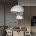 Shibui Pendant Light - Open Box - Residence Supply