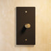 The Brass Rotary Dimmer Switch (1 to 4 Gang) - Residence Supply