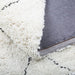 Zirru Area Rug - Residence Supply