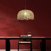 Zonlu Pendant Light - Residence Supply