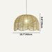 Zonlu Pendant Light - Residence Supply